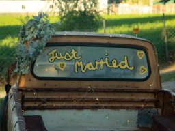 Wedding Pics